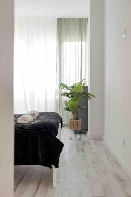 Lovely 3-Bedroom Condo W/ Free Parking On Premises Queluz Buitenkant foto